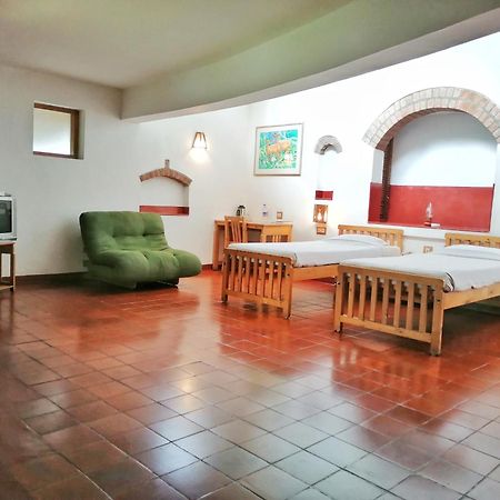 테카디 Wildernest B&B 객실 사진