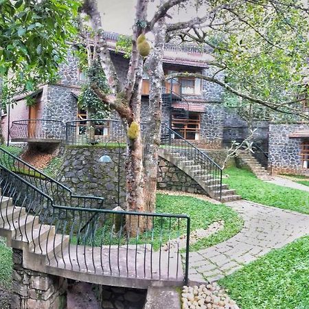 테카디 Wildernest B&B 외부 사진