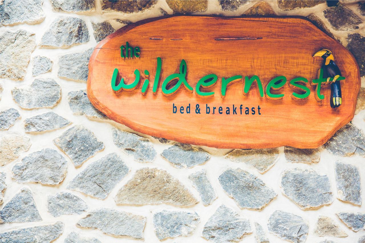 테카디 Wildernest B&B 외부 사진